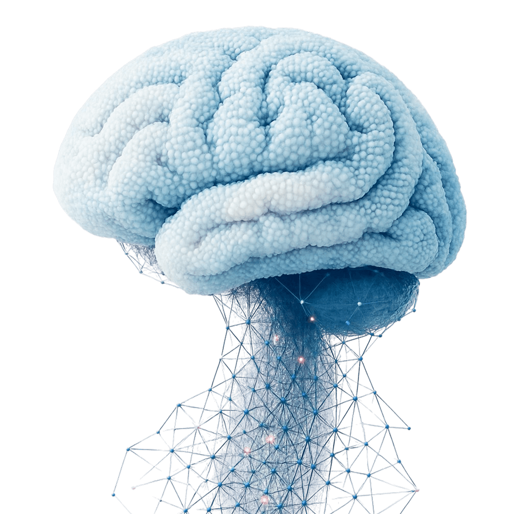 3D Brain